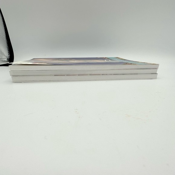 Lot Of 3 Books Marie-Grace Cecile 1853 American Girl Doll Paperback History - Picture 4 of 5